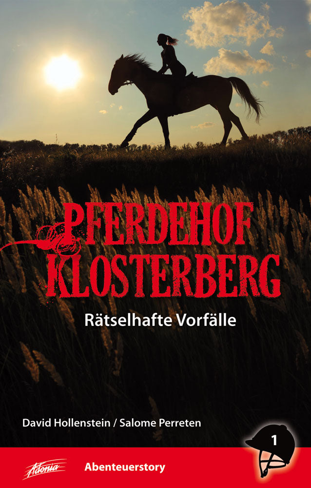 Buch                                               Rätselhafte Vorfälle [1]