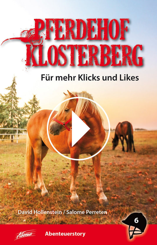 Buch                                               Für mehr Klicks und Likes [6]