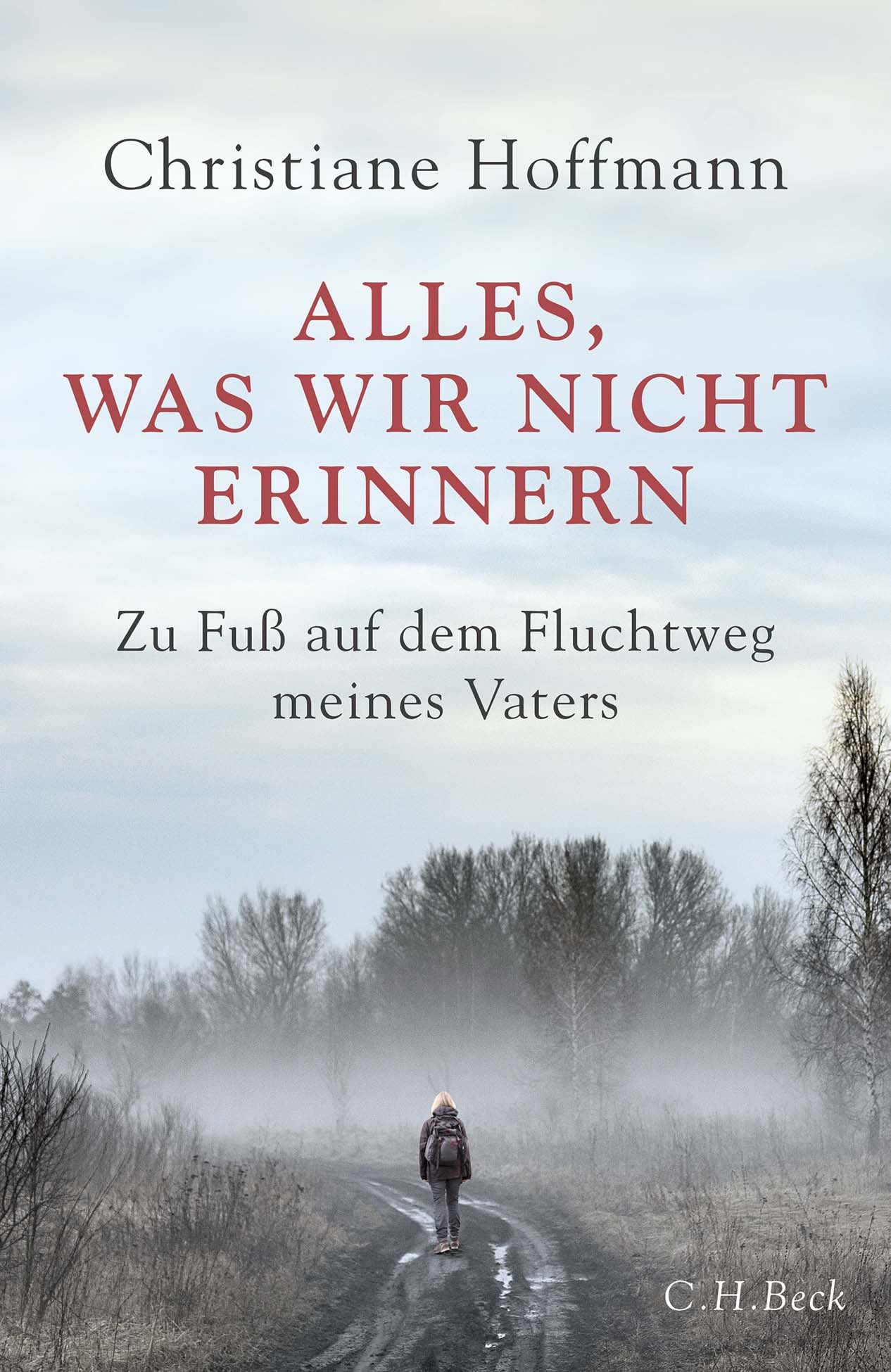 Alles. was wir nicht erinnern