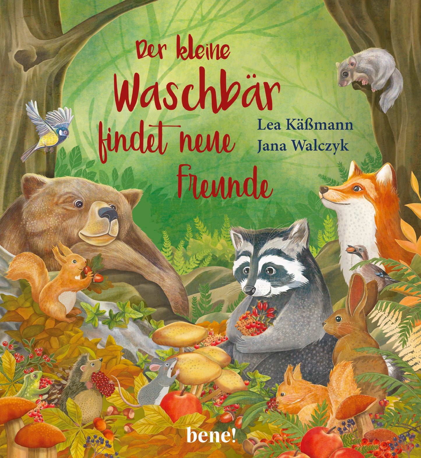 Der kleine Waschbär findet neue Freunde