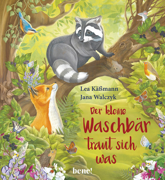 Der kleine Waschbär traut sich was