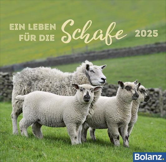 Ein Leben für die Schafe 2025 - Tischkalender