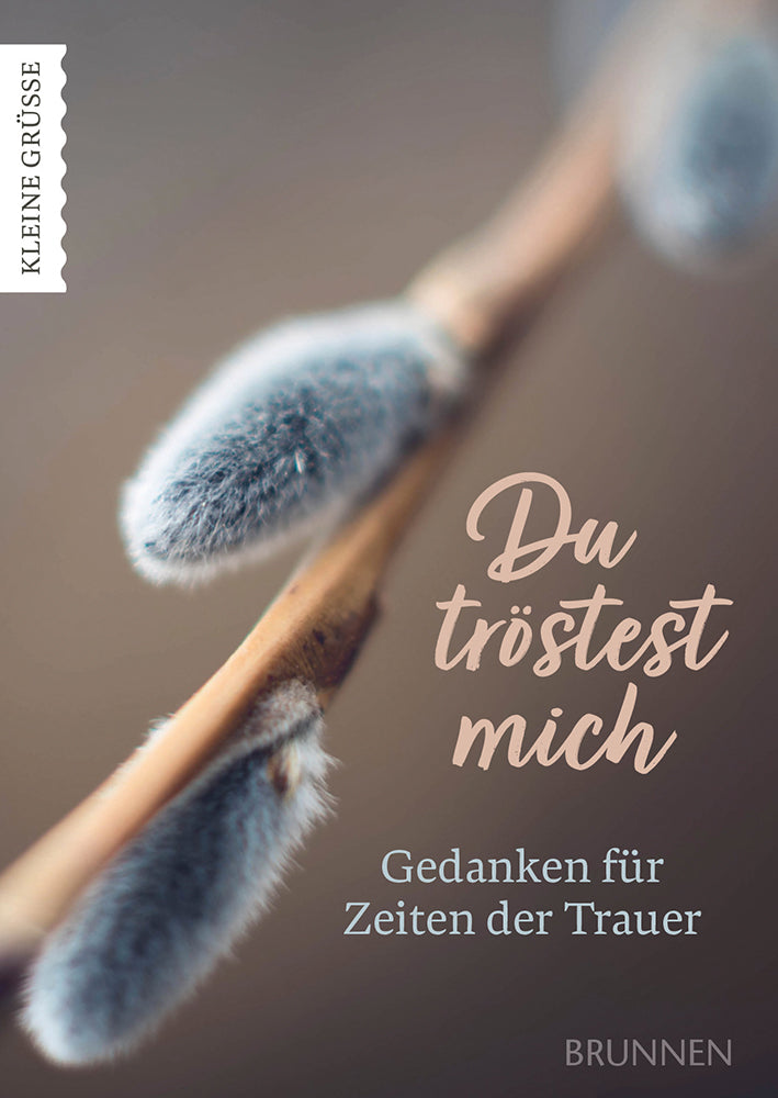 Nonbook                                            Du tröstest mich