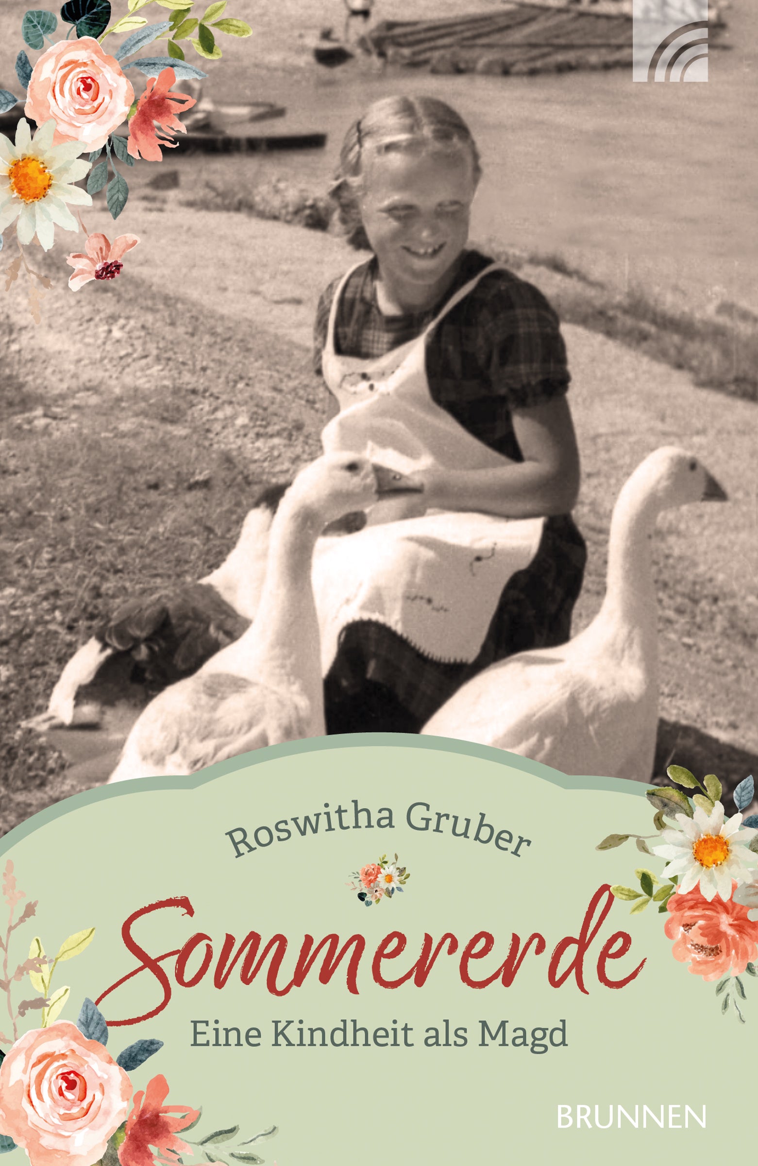 Buch                                               Sommererde