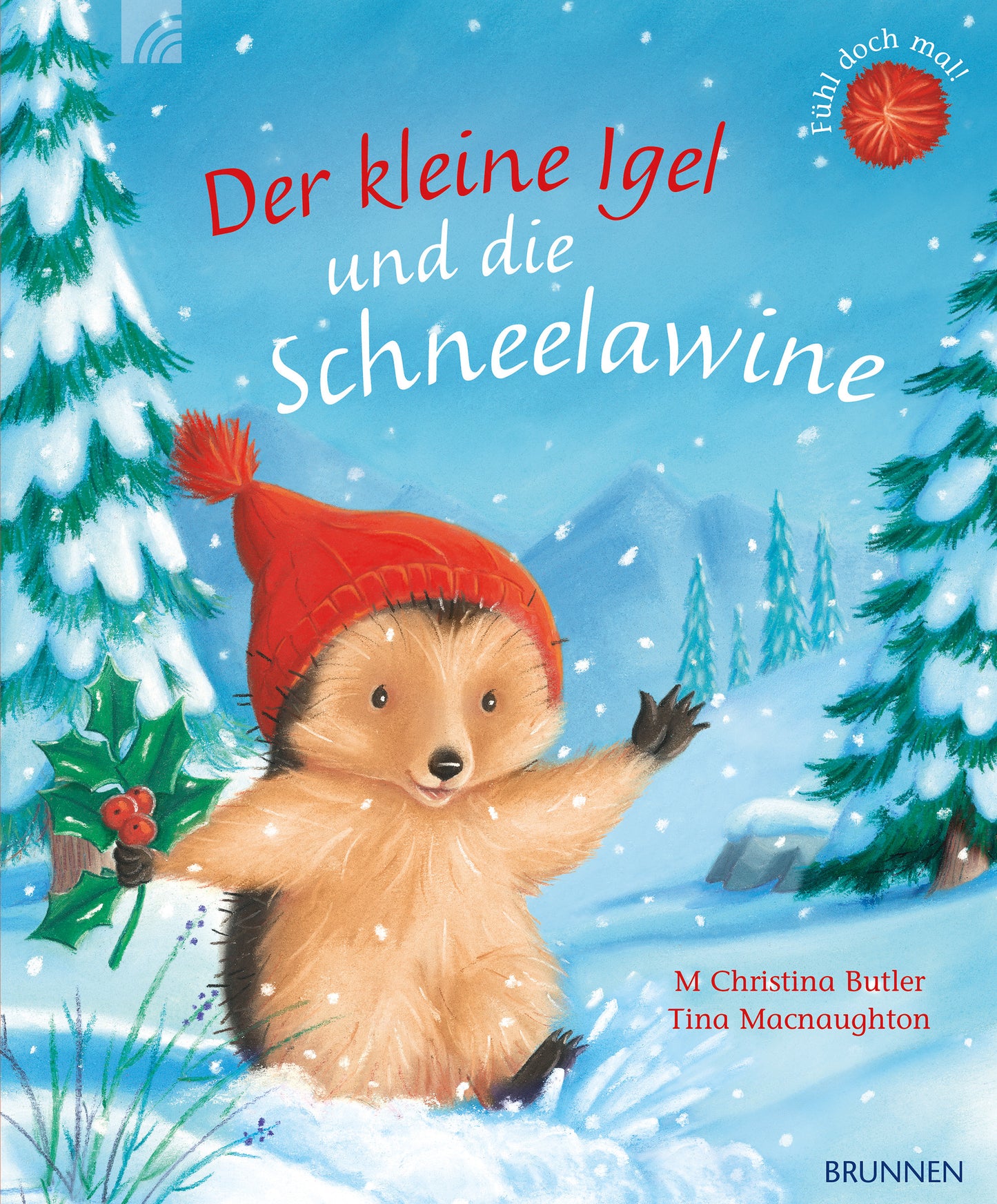Buch                                               Der kleine Igel und die Schneelawine