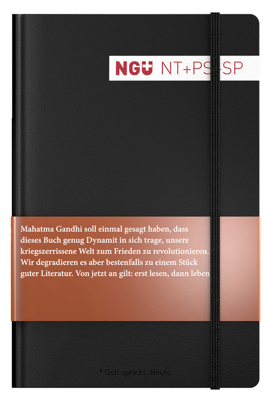 Hörbuch                                            Neues Testament mit Psalmen und Sprüchen
