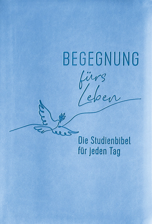 Buch                                               Begegnung fürs Leben. Kunstleder