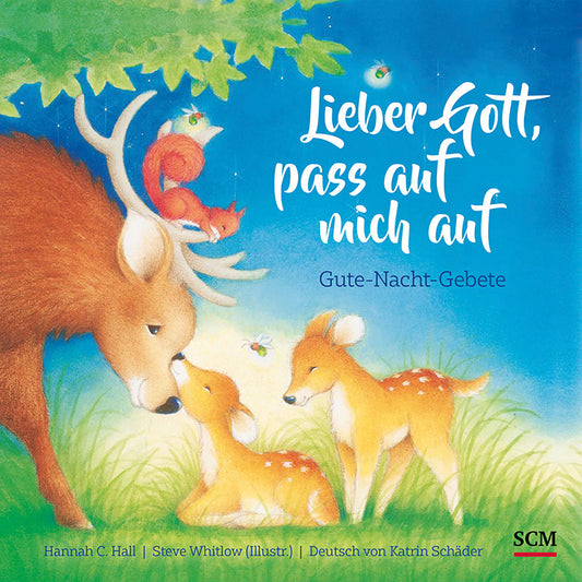 Buch                                               Lieber Gott. pass auf mich auf