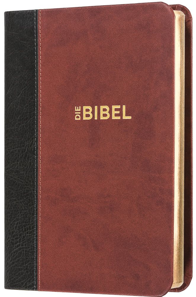 Buch                                               Die Bibel - Schlachter 2000