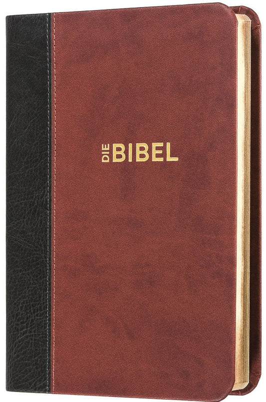 Buch                                               Die Bibel - Schlachter 2000