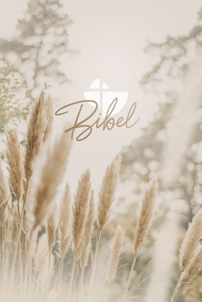 Buch                                               Schlachter 2000 Bibel - (Hardcover Pampasgras)