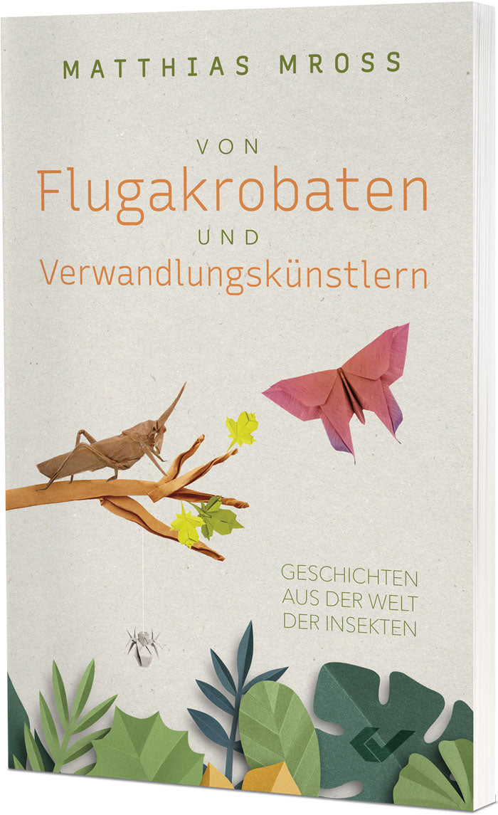 Von Flugakrobaten und Verwandlungskünstl