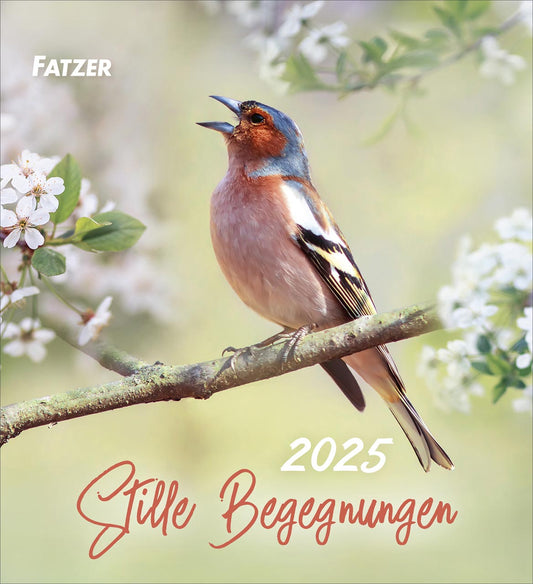 Stille Begegnungen 2025