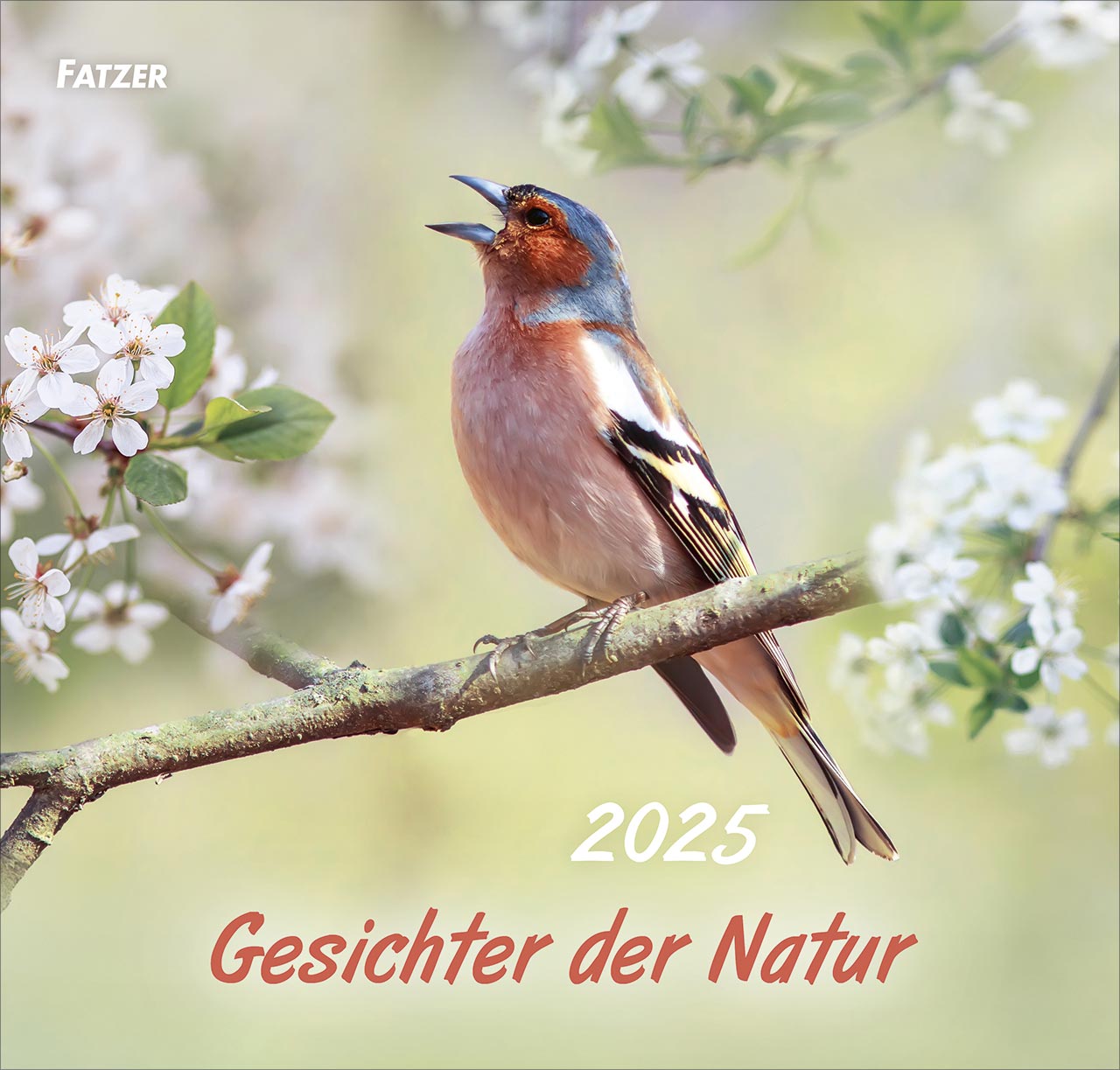 Gesichter der Natur 2025