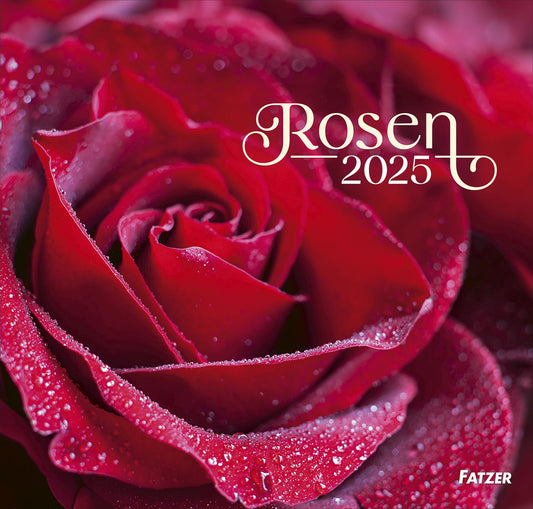 Rosen - Wandkalender 2025