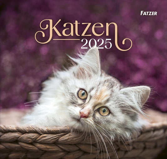 Katzen - Wandkalender 2025