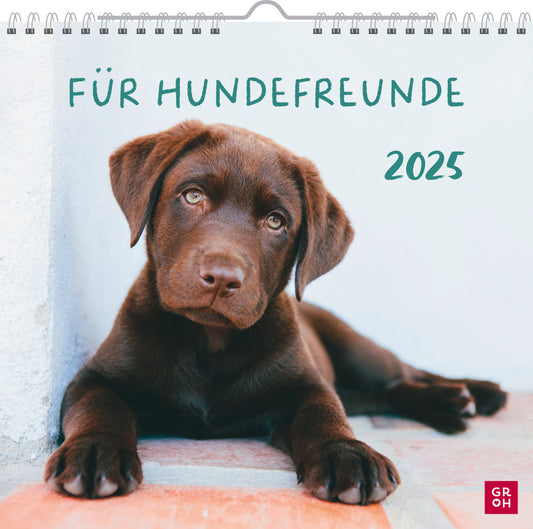 Für Hundefreunde 2025