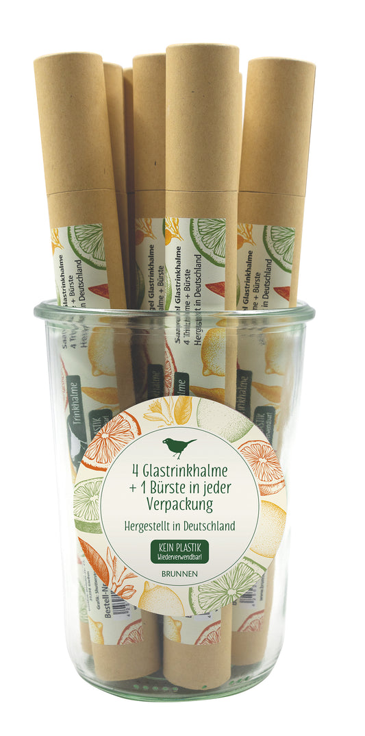 Sonstiges                                          Display - Saatvogel Trinkhalm-Set