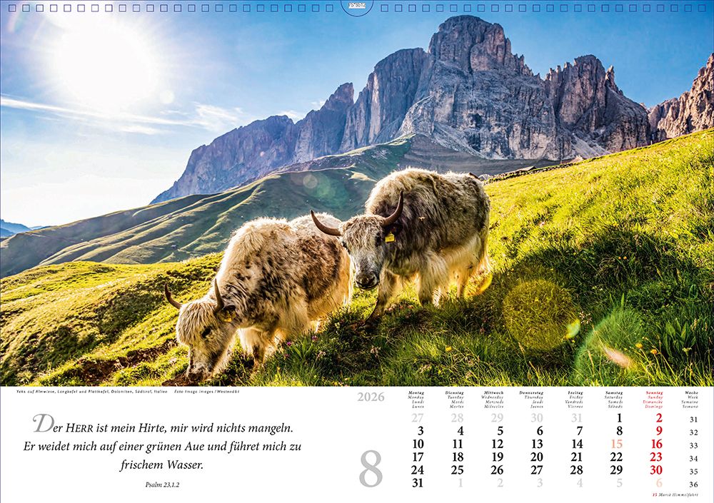 Lobet. ihr Berge. den Herrn 2026