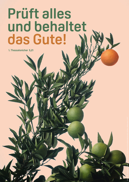 Poster A3 Prüft alles und behaltet das Gute!               1. Thessalonicher 5.21