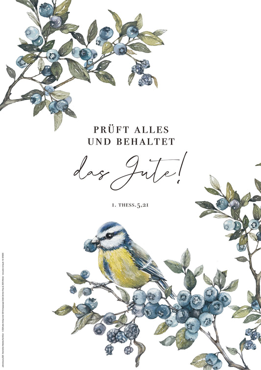 Poster A3 Prüft alles und behaltet das Gute!               1. Thessalonicher 5.21