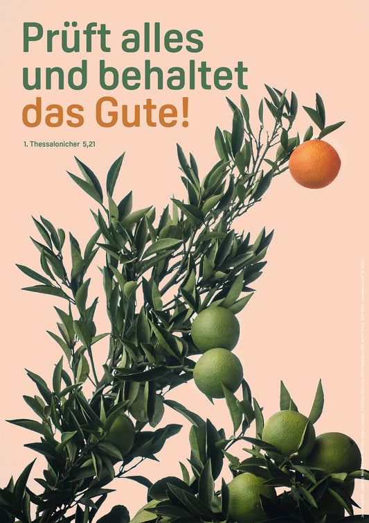 Poster A4 Prüft alles und behaltet das Gute!               1. Thessalonicher 5.21