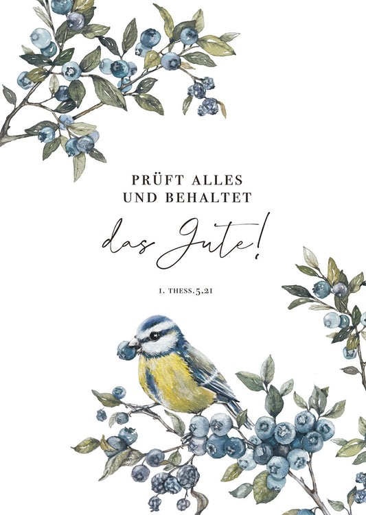 Postkarte 10 Ex. Prüft alles und behaltet das Gute!        1. Thessalonicher 5.21