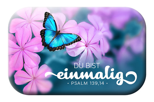 Magnet                                             Magnet Du bist einmalig. Psalm 139:14