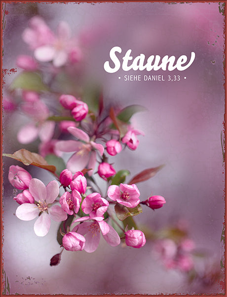 Sonstiges                                          Metallschild Staune - Siehe Daniel 3.33