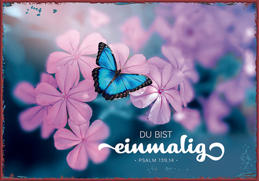 Sonstiges                                          Metallschild Du bist einmalig