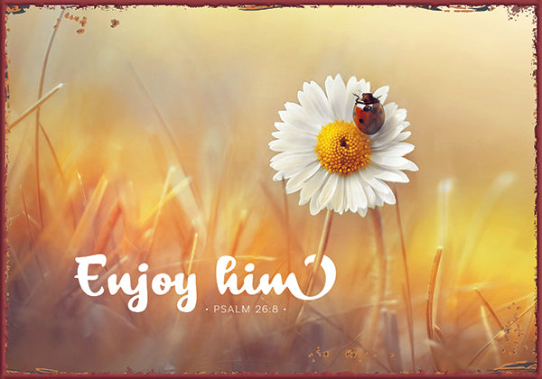 Sonstiges                                          Metallschild Enjoy him