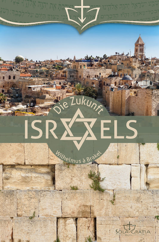 Buch                                               Die Zukunft Israels