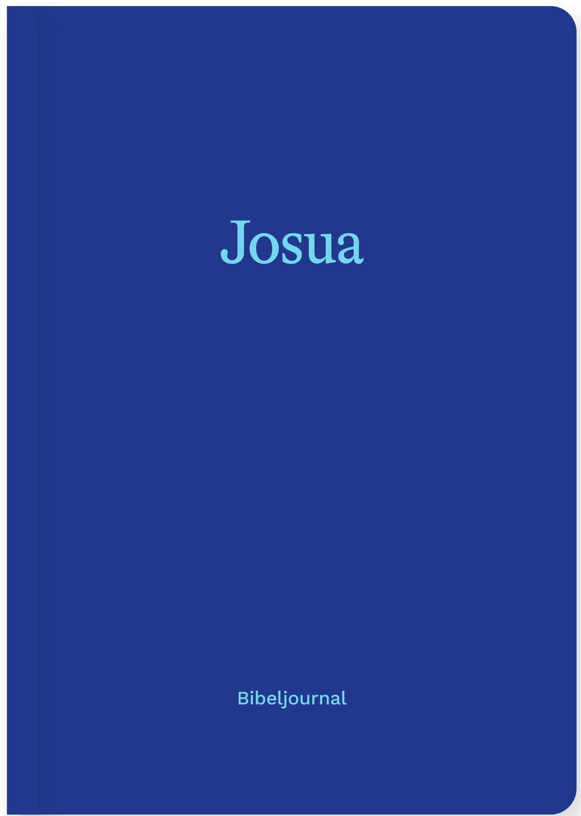 Buch                                               Josua (Bibeljournal)