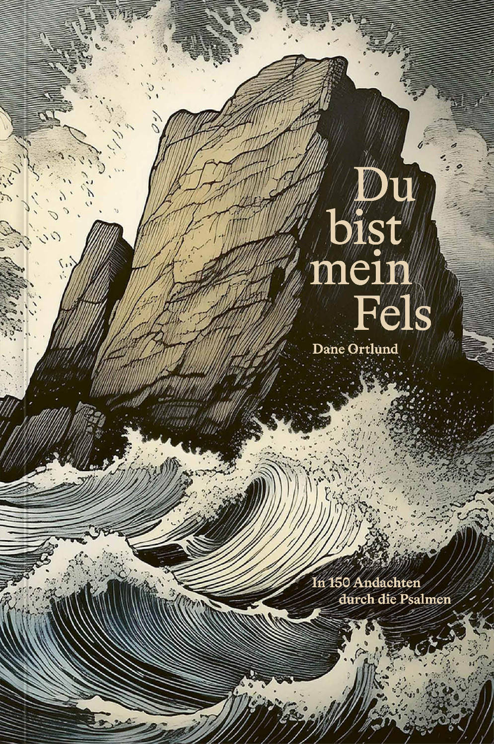 Buch                                               Du bist mein Fels