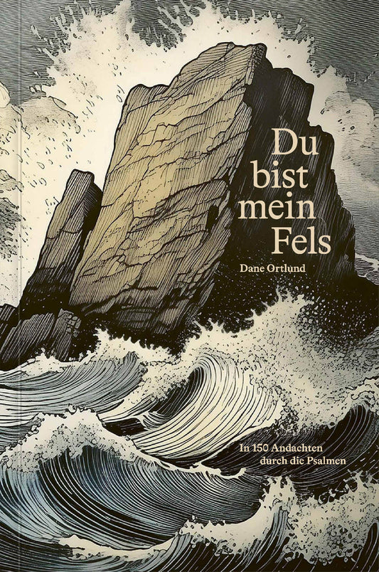 Buch                                               Du bist mein Fels