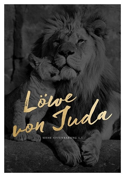 Buch                                               Poster A3 Löwe von Juda