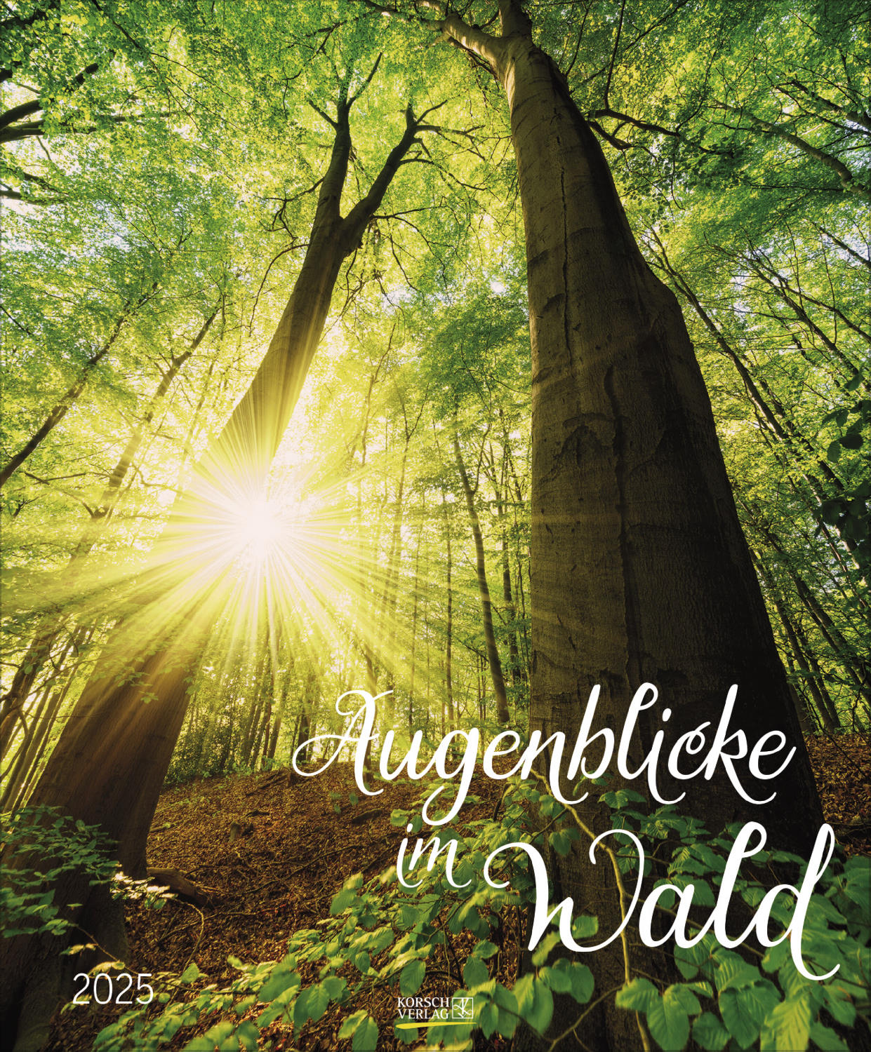 Augenblick im Wald 2025. Wandkalender groß.