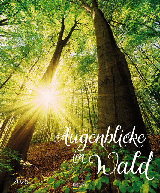 Augenblick im Wald 2025. Wandkalender groß.