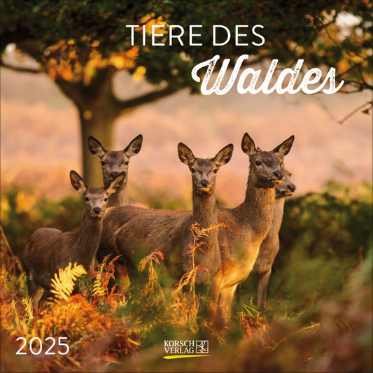 Tiere des Waldes 2025. Broschürenkalender.