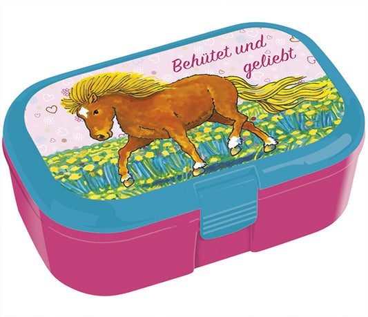 Lunchbox Behütet und geliebt