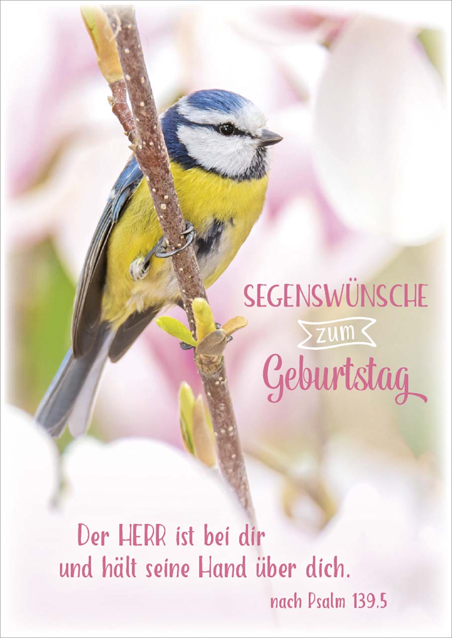 Karte                                              Postkarte Segenswünsche zum Geburtstag