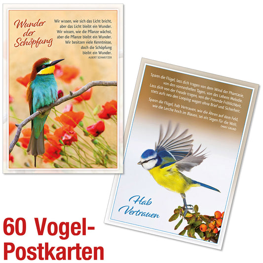 Paket Vogel-Postkarten 60 Ex.