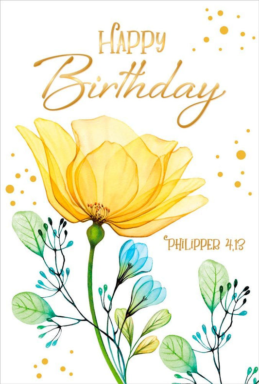 Sonstiges                                          Postkarte Geburtstag