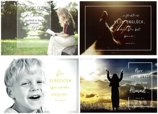 Karte                                              Postkarten-Set 1 (12 Ex.)