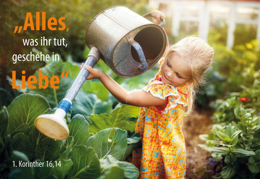 Nonbook                                            Postkarte 10 Ex. Alles. was ihr tut. geschehe in Liebe.