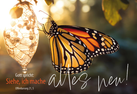 Sonstiges                                          Postkarte 10 Ex. Gott spricht: Siehe. ich mache alles neu.