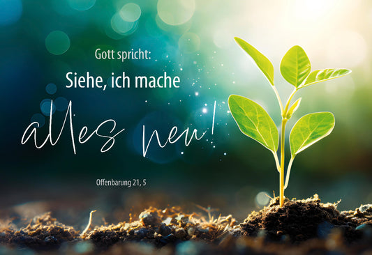 Sonstiges                                          Postkarte 10 Ex. Gott spricht: Siehe. ich mache alles neu.