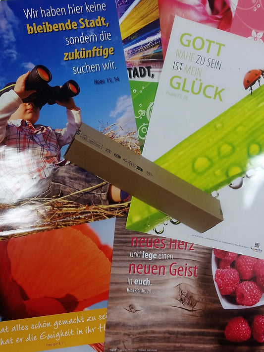 Sonstiges                                          PAKET POSTER 15 EX. GEMISCHT