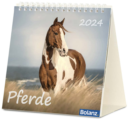 Pferde 2024