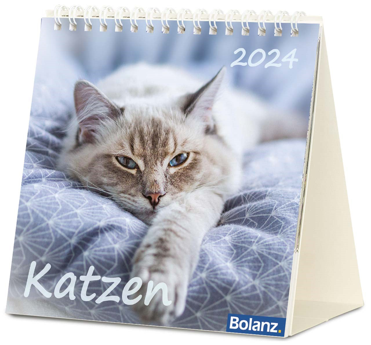 Katzen 2024